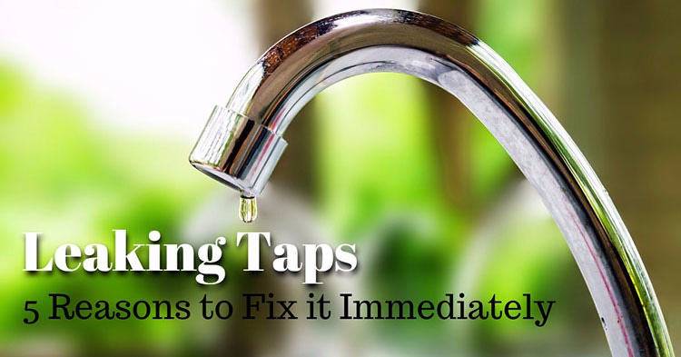 5 Reasons to Fix a Leaking Tap Immediately